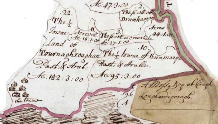 Down Survey of Ireland